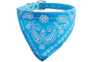 Newtensina Mode Hundebandana Halsband HundeHalsband Junge Mittel Bandana Hündchen Bandana mit Halsband für Hunde - Light Blue - S