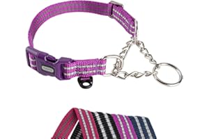 Petiry Half Choke Dog Collar with Side Release Buckle,Half Chain Anti-Pull Collar for Training and Safe Walks,for Extra Small Dogs Neck 28-33cm(Purple,Small)
