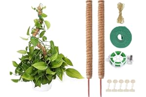 AIQII 2 Pack 160 cm Moss Rod Plant Rod Monstera Trellis Flexible Moss Rod Monstera Rod Plant Stake Monstera for Climbing Plants Plant Name Planting Time Plant Support