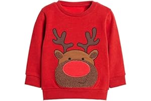 EULLA Boys Christmas Jumper Reindeer Sweatshirt Gift Kids Long Sleeve Dinosaur Tee Shirt Tops Crew Neck Pullover Hoodies Casual Outfit Clothes Age 1-7 Years