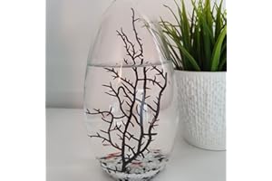KAROFOILFIX Ecosphere - Großes Ei 19 cm hoch - doppeltes Volumen und doppeltes Anzahl von Garnelen von SP nach einer Techologie der NASA