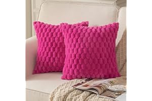 Mandioo Set of 2 Pink Red Super Soft Decorative Plush Cushion Covers 40 x 40 cm Wool Velvet Decorative Cushion Covers Sofa Cushion Decorative Cushion Fluffy for Couch Sofa Bed Living Room