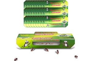 15x Schabenfalle XXL Kakerlaken Falle gegen Schaben Bekämpfung Bettwanzen Falle Kakerlaken Bekämpfen Starke Klebefallen für Schaben Monitoring Küchenschaben Falle, ungiftig - von LUNEKUCK