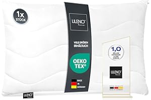 LILENO HOME Imbottitura per cuscino, 40 x 60 cm, set da 1 pezzo, cuscino interno trapuntato, 40 x 60 cm, per persone allergiche, in microfibra, cuscino decorativo e cuscino da divano, lavabile a 40 °C