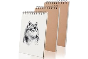 EULERYOO 3 Pezzi Album da Disegno A5 Sketchbook, 120 gsm A5 Quaderno da Disegno Spiralato, 80 Pagine/ 40 Fogli Album da Disegno Professionale per Matita Penna Acquerello (Copertina Marrone)