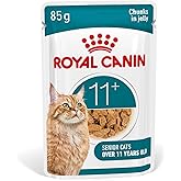 ROYAL CANIN Ageing 12 feine Stückchen in Gelee | Doppelpack | 2 x 12 x