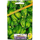 Vipfoni Basil Large Leaf Flower Seed