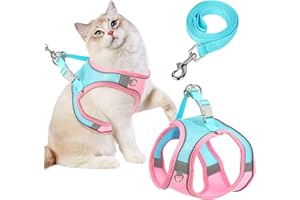 MAYOII Harnais et Laisse pour Chat pour la Marche,Laisse pour Chat à contrôle Facile,Harnais Doux réglable pour Petit Chien,Bandes réfléchissantes Respirantes pour Chaton,Chiot,Lapin (Rose Bleu, S)