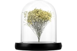 ZOFUN Glasglocke mit Holzboden 10cm, Glaskuppel mit Holzboden, Glaskuppel Deko Transparent Glasglocke Deko für Puppen, Kerzen, Sammlerstücke,Tafelschmuck und Antiquitäten