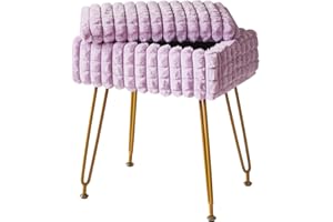 IBUYKE Silla de Maquillaje Rectangular, con Espacio de Almacenamiento, Taburete otomano, Silla de Mesa de Maquillaje, con pies Antideslizantes, Púrpura WBD004V
