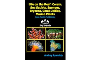 Life on the Reef: Corals, Sea Squirts, Sponges, Bryozoa, Comb Jellies, Marine Plants: Indo-Pacific Field Guide (Coral Reef Academy: Indo-Pacific Photo Guides)