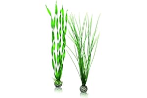 biOrb Zestaw roślin L zielony