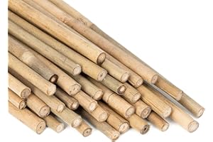 HAZIQ 2ft-3ft-4ft-5ft Bamboo Canes/Stake/Pole Garden Plant Flower Support Sticks Outdoor/Indoor Plants Support Natural Strong (30, 3ft -90cm (10-12mm))