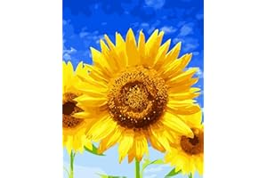 Smyidel Dipingi con i numeri, kit di pittura acrilica fai-da-te per adulti Bambini principianti Facile su tela 16x20 Pollici,Decora la casa Regalo,con vernici e pennelli (senza cornice) (28)