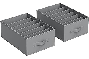 SONGMICS Kleiderschrank-Organizer 2er Set, Aufbewahrungsbox 6 Fächer, Schubladen-Ordnungssystem, Ordnungsboxen faltbar, 42 x 