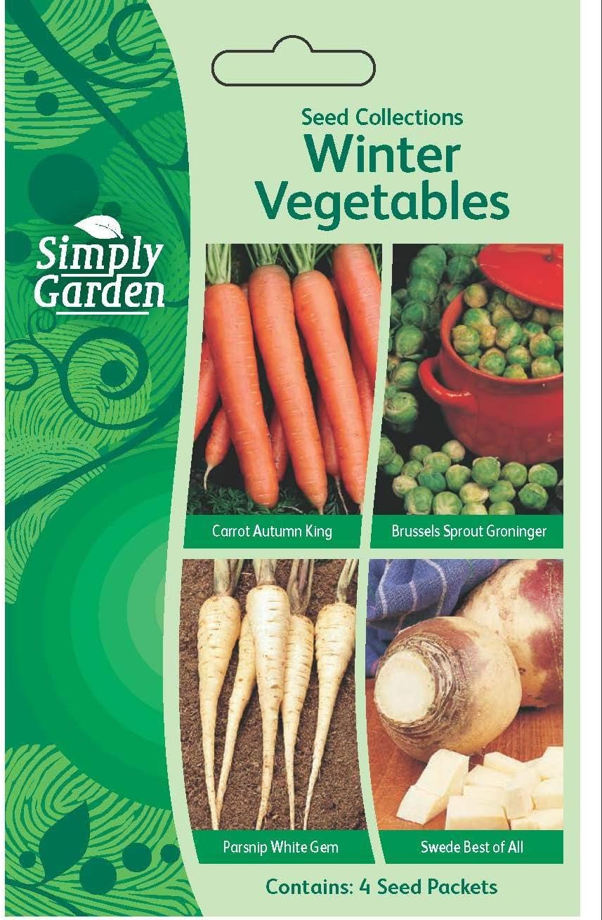 Retour d'Expérience & Bilan Utilisateur : Simply Garden Vegetable Seeds Variety Pack 4