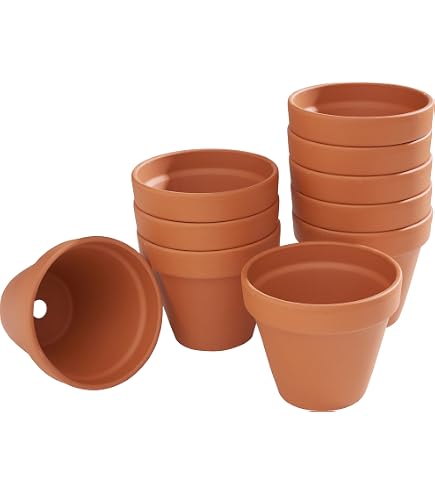 Vilmorin 12 Blumentöpfe Aus Kokos - Rund, 6 Cm, 100% Biologisch Abbaubar, Für Aussaat & Stecklinge