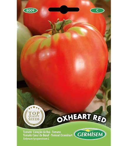 Semi Di Pomodoro San Marzano Gigante – 100 Semi + Omaggio, Coltivazione Facile