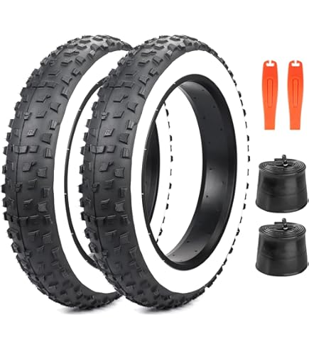 Cicli Puzone Tyres for bicycle 20 x 4.0 CST BFT C1752 (100-406) Tires for electric bike Fat Bike E-bike 20 x 4,00