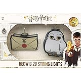 Groovy Luci Natale Harry Potter
