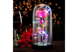 RANJIMA Rosa Eterna Natural, Rosa Eterna Bella y Bestia, Regalo Día de la Madre, Caja Regalo, Elegante Cúpula de Cristal Luces LED, Regalo para Profesora Mujer Madre, Cumpleaños, Aniversario Bodas