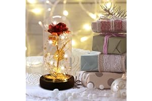 DREAM OF FLOWERS Roses Éternelles, La Belle et la Bête Roses - Cadeaux de Vacances pour Maman Femme Copines - Roses Save For Eternity In Glass Dome - Noël Saint Valentin Fête des Mères Souhaite Cadeau