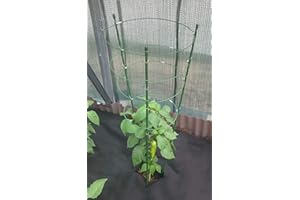 maxpack® Rankhilfe Gartenpflanze Gurkenturm Stützringe aus Legierter Stahl für Topfpflanzen Kletterpflanze Tomaten Gurke Pflanze Käfig Spalier robust (H: 60 cm)