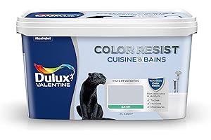 Dulux Valentine Color Resist - Peinture Intérieure Pièces Humides - Pour Murs, Plafonds, Boiseries - Lessivable et Résistante - Couleur : Hammam Satin - 2 L - 5262079
