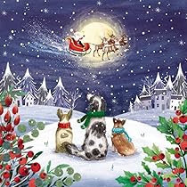 Special Friends Christmas Card Dog And Cat Snuggle - Highworth Emporium - View #7