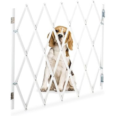 Dogtrace D-fence 101 Onzichtbare Omheining