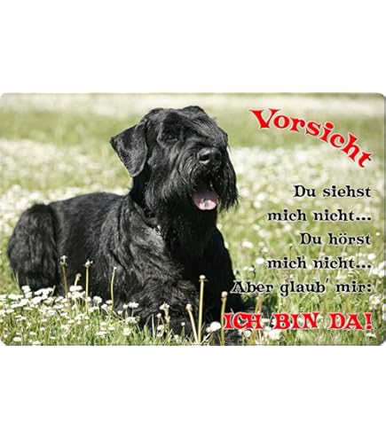 AdriLeo Schild 'Vorsicht Schnauzer - Familienwächter' - 20x30 Cm, Aluverbundplatte 3 Mm, Witterungsbeständig, Für Zaun & Haus
