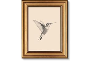 ARPEOTCY Vintage Goldener Rahmen Wandbilder Wohnzimmer, Wanddeko mit Tiermotiven, Leinwand Bilder Wandbilder für Wohnzimmer & Schlafzimmer, Kolibri 25L x 20W cm