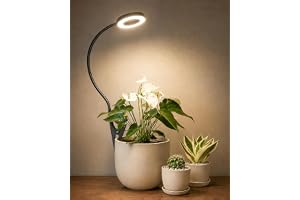 Bamworld Växtbelysning LED Fullspektrum med Timer och Justerbar Intensitet, Inomhus USB Växtlampa, Odlingslampa för Inomhusplantor