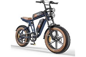 HillMiles MileZoom1 Bici Elettrica Uomo,Batteria Rimovibile 832/1664 Wh, Autonomia Massima 130/260Km, Velocità Massima 25Km/h, Pneumatici Fat 20 * 4.0,Cambio 7 Velocità Completa per Tutti i Terreni