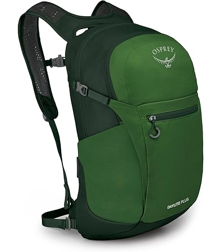 Osprey Daylite Unisex Backpack, 13L, Blue Spikemoss/Alkaline, O/S Sports & Outdoors