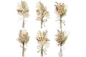 ‎LIVDOUYU Livdouyu 6 Bündel Trockenblumen Klein, Trockenblumen Weiß, Trockenblumen Zum Basteln Trockenblumenstrauß Klein für Bilderrahmen Kunst DIY Harz Handwerk