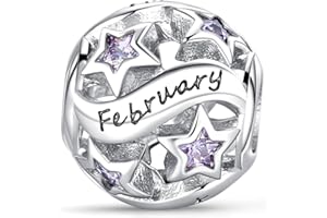 XWN Damen Charm Anhänger Sternzeichen für Armband 925 Sterling Silber 12 Sternbilder Charms Beads passend für Pandora Armband, Kompatibel mit Europäischen Armband und Halskette für Frauen Mädchen X251