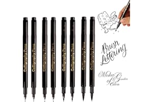 AQSQWQ 8PCS Calligraphy Set for Beginners,Black Fineliner Pens,Fine Felt Tip Writing Pen Japanese Chinese Japanese Calligraphy Shodo Brush Ink Pen Writing Drawing Craft