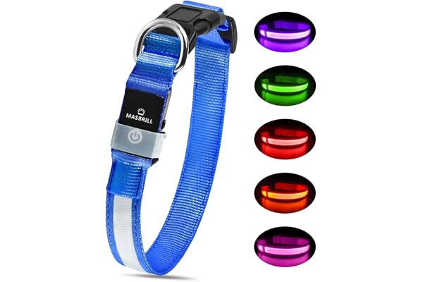 MASBRILL Collier Lumineux pour Chien Rechargeable, LED Collier Chien Etanche et Réglable 3 Modes d'éclairage, LED Clignotant Collier de Sécurité pour Petits Moyens Grands Chien(Bleu, L)