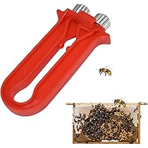 Fogli Cerei Mondo Ape 100% Cera D'Api | Confezione 10 Fogli 41x26cm | Made In Italy - Foto 3