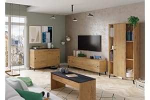 Miroytengo Conjunto Muebles salón Kamet Color Roble Gold Estilo Industrial (Mesa TV + Mesa Centro + estantería + aparador)