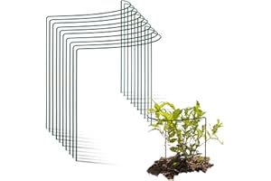 Novatool Lot de 10 tuteurs d'arbustes - Semi-circulaire - Vert - 50 x 40 cm