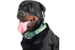 Spark Paws Taktisches Hundehalsband – Robuste, Premium-Qualität, Dick und Langlebig für Große und Mittelgroße Hunde - Army Green - L, 5cm