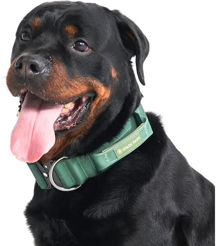 LTDTACTBAG Taktisches Hundehalsband – Verstellbar 50–74 Cm Mit Griff | Robustes Traininghalsband Für Große Hunde