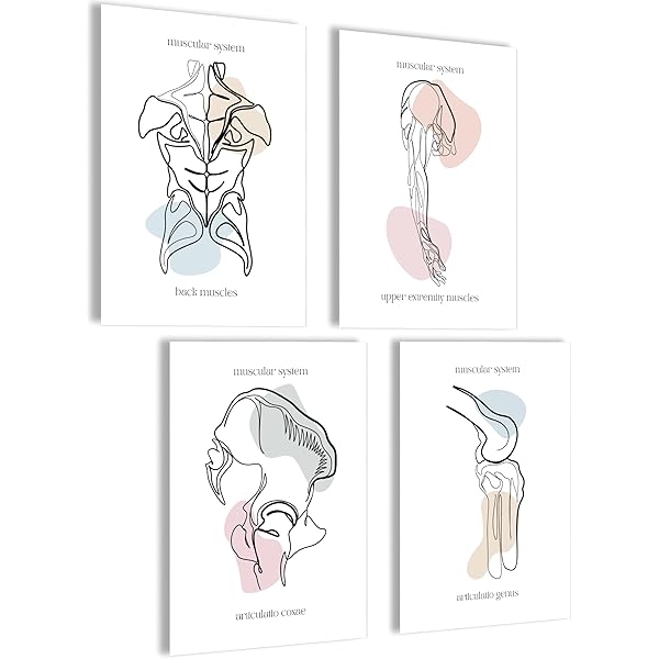 Kunstdruck Din A4 Ohne Rahmen - Gehirn Mensch Anatomie Zeichnung Retro Medizin Arzt Neurologie Poster Bild