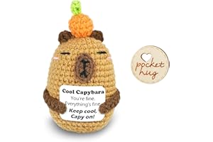 Ben & Bel Handmade Crochet Capybara with Wooden Pocket Hug Token Gift Box, Emotional Support Crochet Animal, Uplifting Encouragement and Stress Relief Gifts for Family, Friends, and Loved Ones