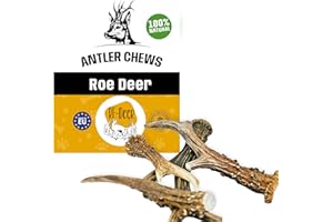 GRYZAK-KOZIOL-HARD-L