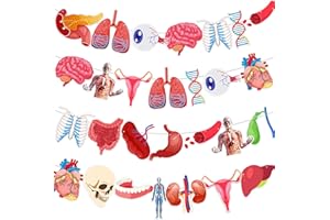 CEONAM 4 Strings 28 Pcs Anatomy Themed Hanging Banner, Human Body Parts Educational Cutouts Garland for Classroom Decorations, Science Party Supplies, School Learning Tools, and Medical Office Decor
