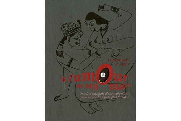 LE PETIT LIVRE À OFFRIR À L'AMOUR DE SES NUITS: et à lire ensemble d'une seule main pour les rendre encore plus torrides