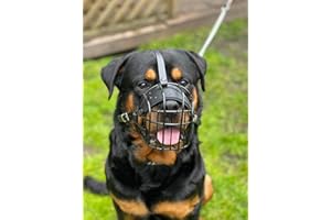 CHAMPION POUR L&J PETS UK Muselière pour Chien Champion pour Races de Type Rottweiler, Mastiff R3